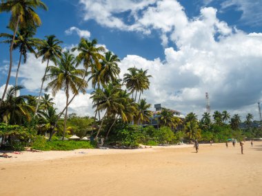 Sri Lanka, Seylan Adası doğası ve Mirissa Sahili