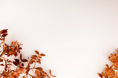 Sağ alt köşede ve sol alt köşede beyaz arkaplanda kuru dallar var.