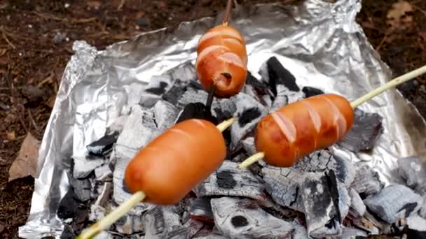 Grilling Sausages Bonfire Nature Picnic Outdoor Travel Food — Video Stock