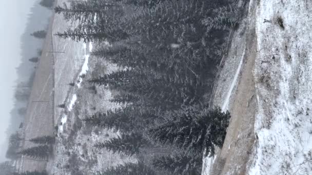 Kar Taneleri Düşen Ormanlı Güzel Kış Manzarası Dikey Görüntüler — Stok video