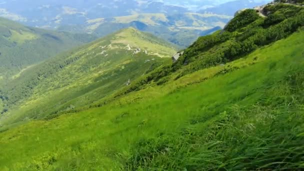 Όμορφα Ορεινά Τοπία Μια Καλοκαιρινή Μέρα Πράσινο Γρασίδι Ανεμίζει Στο — Αρχείο Βίντεο