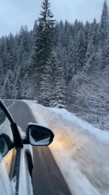 Karlı ağaçları ve dağ manzarası olan şaşırtıcı derecede güzel bir kış yolu. Araba penceresinden görüntüle