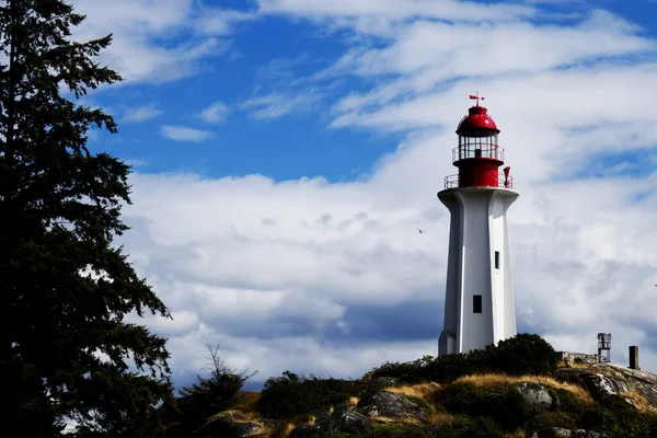Lighthouse Park West Vancouver — Fotografia de Stock