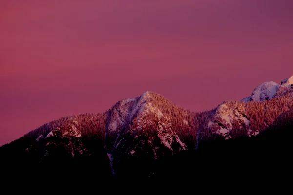 Mountain peaks covered in snow during sunset - pink sky
