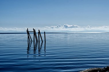 Okyanusta tahta kutuplar ve arka planda bulutlu gökyüzü.