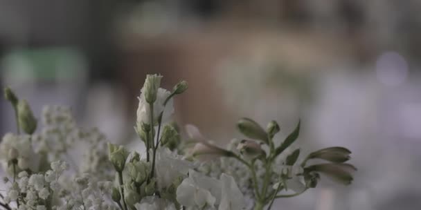 Fiori Bianchi Ondeggiano Nel Vento Decorazione Decorativa — Video Stock