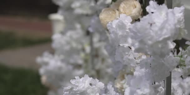 Fiori Bianchi Ondeggiano Nel Vento Decorazione Decorativa — Video Stock