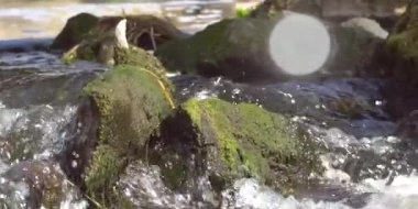 Nehir, beyaz su, girdap spreyi, güneş ışınları.