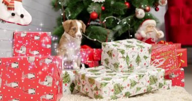 Noel süslemelerinin arka planında şirin köpek yavrusu çoban köpeği resmi olan bir Noel kartı.