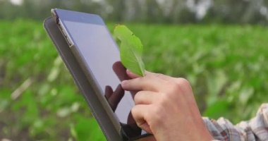 Yeşil yaprakların arka planında bir adamın elindeki akıllı telefon.