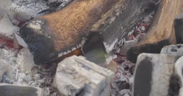 在壁炉里烧柴火 — 图库视频影像