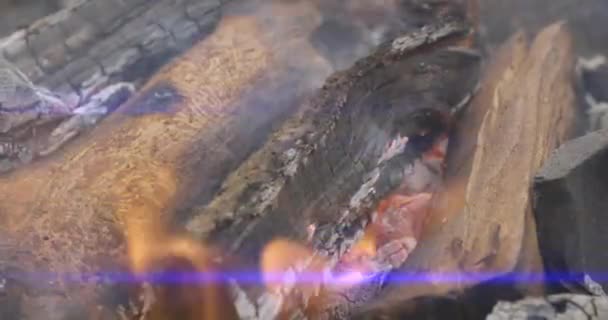 クローズアップ 火からの炎 ナイトボンファイア ログが燃えている 火花が飛ぶ 4Kについて — ストック動画