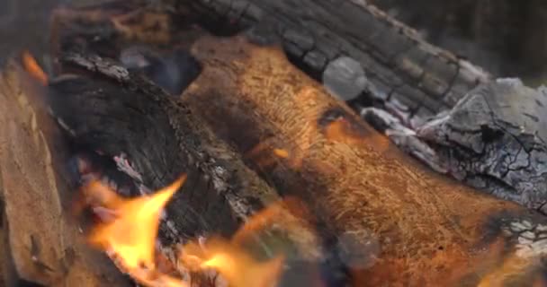 Close Flames Fire Night Bonfire Logs Fire Sparks Fly — Stock Video