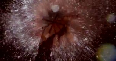 ışıklar ve yıldız ile bokeh arka plan defocused.