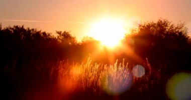 Ormandaki gölde gün batımı. Güneş suya yansıyor..