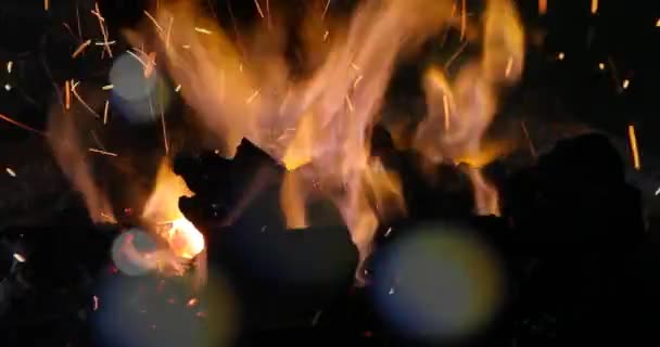 Fuego Fragua Del Herrero Primer Plano Las Manos — Vídeo de stock