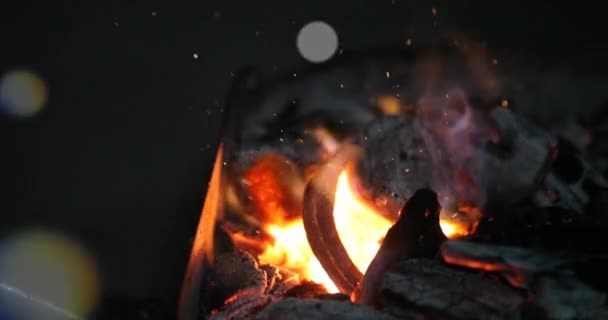 Oheň Kovářově Kovárně Detailní Záběr Rukou — Stock video