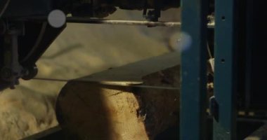 Bir bantla kütük kesmek orman endüstrisi ahşap işleme