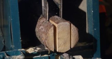 Bir bantla kütük kesmek orman endüstrisi ahşap işleme