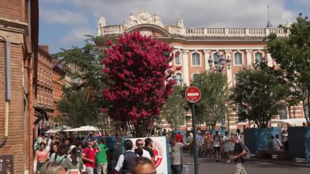 Toulouse Frankrike September 2023 Människor Besöker Centrala Toulouse Cit Toulouse — Stockvideo