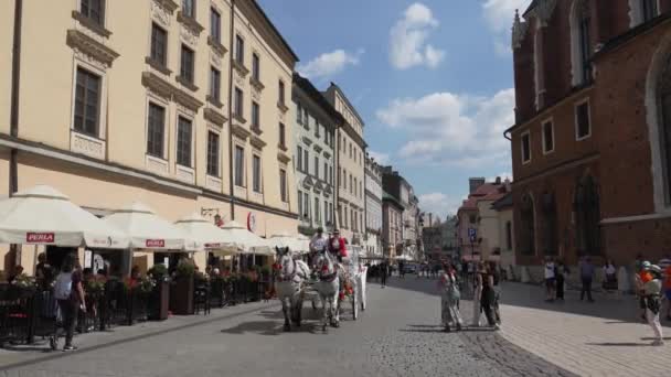 Krakow Ana Pazar Meydanının Manzarası Güneşli Bir Günde Yürüyen Insanlar — Stok video