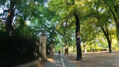 Şehir parkında hareket eden ağaçlar doğa Polonya 'yı 09.17.2023