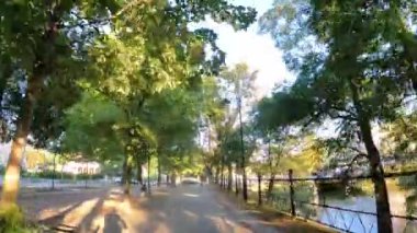 Şehir parkında hareket eden ağaçlar doğa Polonya 'yı 09.17.2023