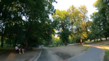 Şehir parkında hareket eden ağaçlar doğa Polonya 'yı 09.17.2023