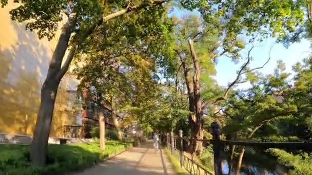 Μετακίνηση Στο Πάρκο Της Πόλης Πόδια Δέντρα Φύση Wroclaw Πολωνία — Αρχείο Βίντεο