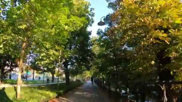 Рух Міському Парку Прогулянка Деревах Природа Вроцлав Польща 2023 — стокове відео