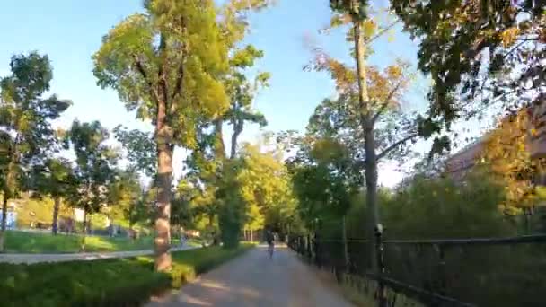 Движение Городском Парке Ходить Деревья Природа Вроцлав Польша 2023 — стоковое видео