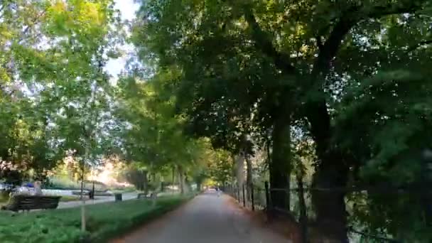 Pohyb Městském Parku Procházka Stromy Příroda Vratislav Polsko 2023 — Stock video