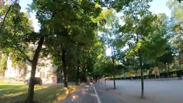 Mouvement Dans Parc Ville Promenades Arbres Nature Wroclaw Pologne 2023 — Video