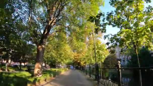 Μετακίνηση Στο Πάρκο Της Πόλης Πόδια Δέντρα Φύση Wroclaw Πολωνία — Αρχείο Βίντεο
