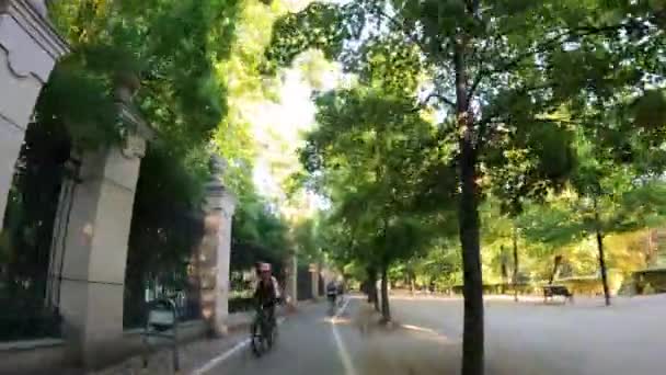Рух Міському Парку Прогулянка Деревах Природа Вроцлав Польща 2023 — стокове відео