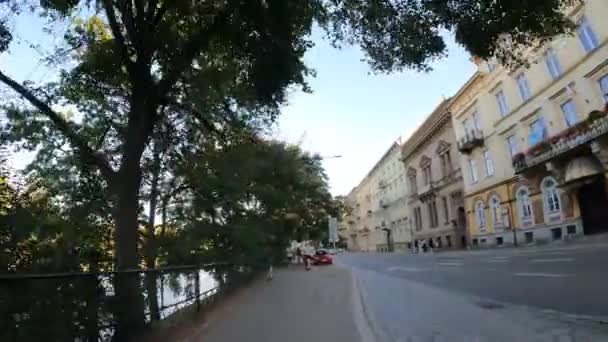 Bewegung Stadtpark Spaziergang Bäume Natur Breslau Polen 2023 — Stockvideo