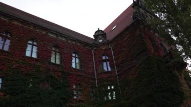 Wroclaw kenti Avrupa turizm mimarisi