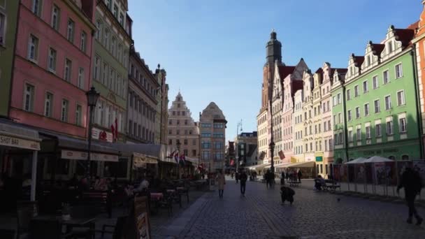 City Center Europe Tourism Architecture Wroclaw Poland October 2023 — Stock Video