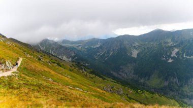 Dağ manzarası Polonya Zakopane