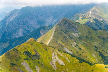 Dağ manzarası Polonya Zakopane
