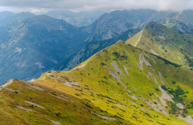 Dağ manzarası Polonya Zakopane