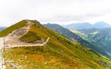 Dağ manzarası Polonya Zakopane