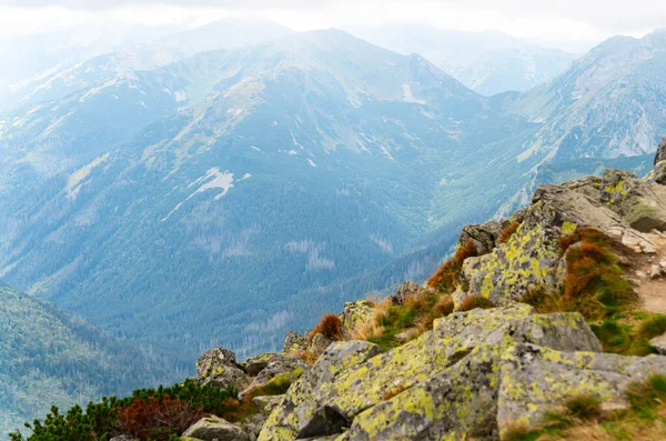 Dağ manzarası Polonya Zakopane