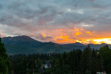 Dağ manzaralı orman manzarası Polonya Zakopane