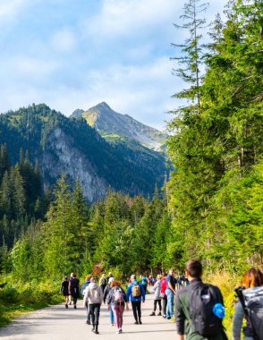 Dağlara tırmanan turistler orman tatili