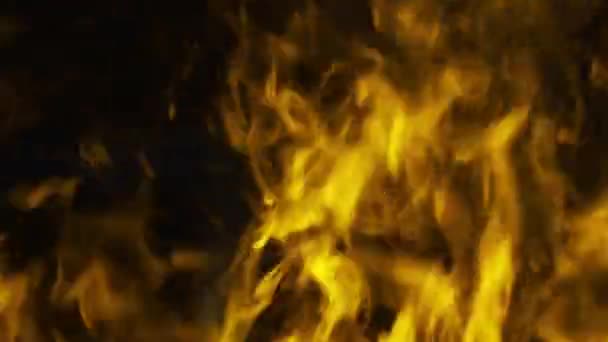 Feuer Verbrennt Rauch Feuer Raucht — Stockvideo