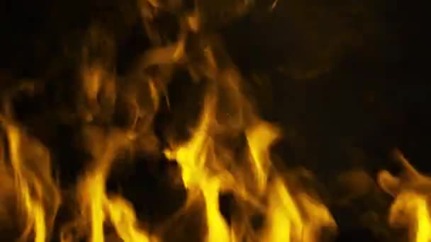 Ogień Pali Dym Ogień Pali — Wideo stockowe