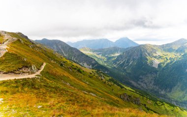 Dağ manzarası Polonya Zakopane