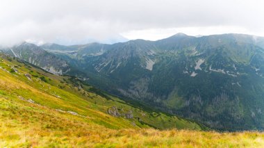 Dağ manzarası Polonya Zakopane