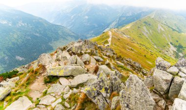 Dağ manzarası Polonya Zakopane